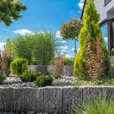 JME-Construct-aménagement-jardin-plantes