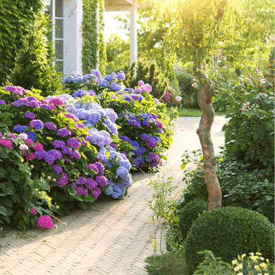 JME-Construct-aménagement-jardin