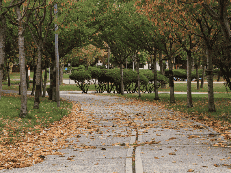 JME-Construct-aménagement-parc-jardin